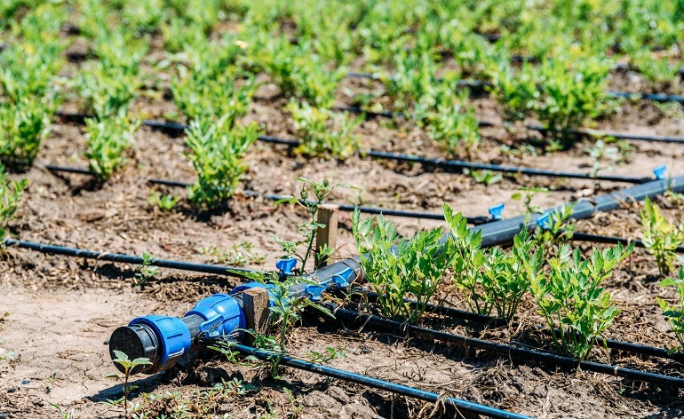 drip irrigation sysyem