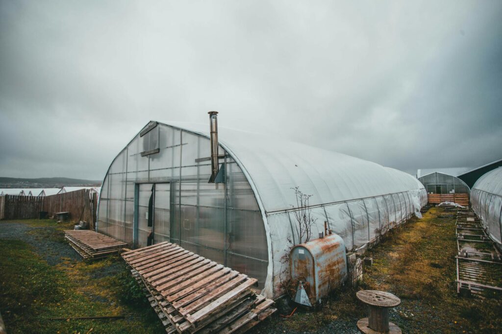 overcast over greenhouse