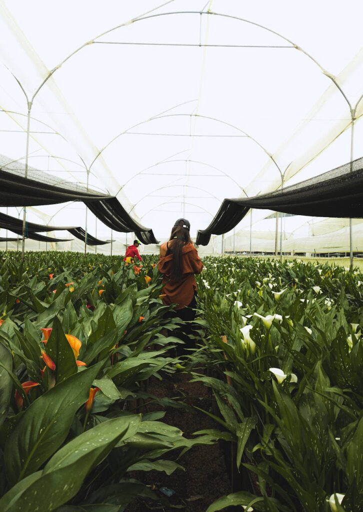 woman among plants in a greenhouse