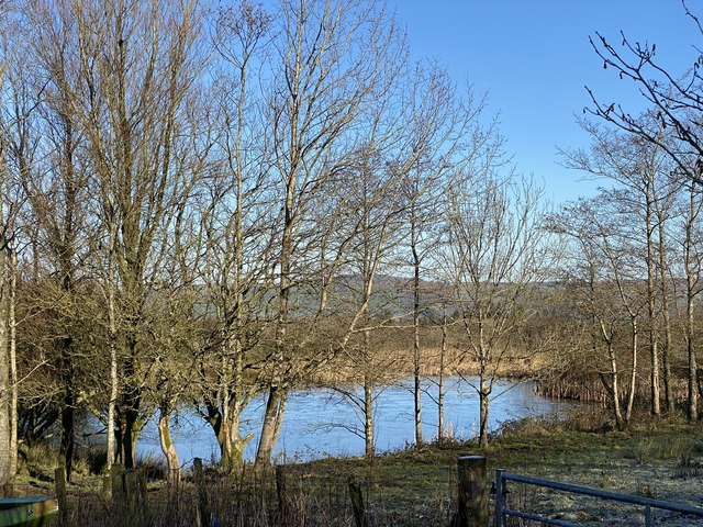 Pond at Cefncarnau