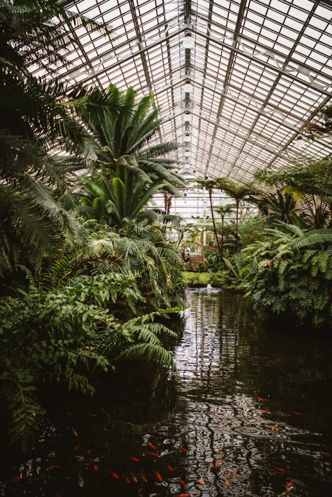 photograph of greenhouse