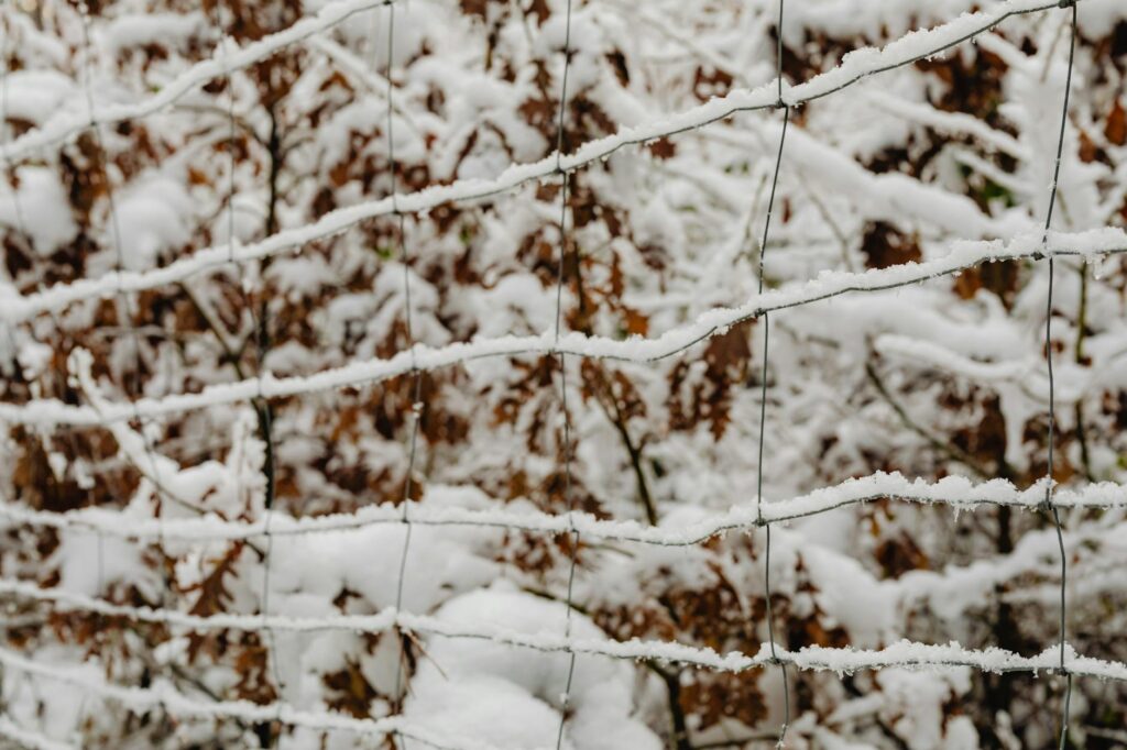 abstract shot of snow on a net fence and trees